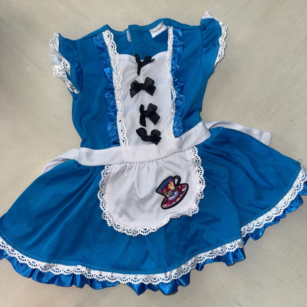 Alice and wonderland costume 2T